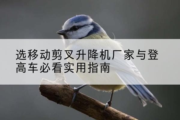 延寿电动升降机厂家-选移动剪叉升降机厂家与登高车必看实用指南
