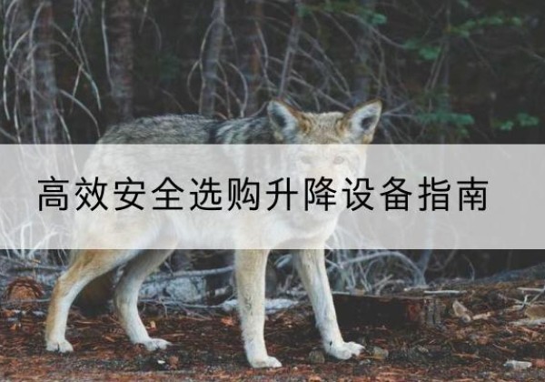 延寿升降货梯厂家推荐-*安全选购升降设备指南