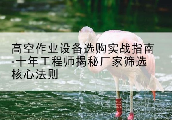 延寿剪叉式升降机厂家-高空作业设备选购实战指南-十年工程师揭秘厂家筛选核心法则